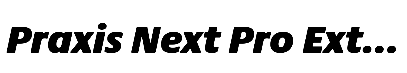 Praxis Next Pro ExtraBlack Italic